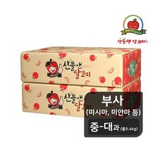 [TV상품][중대과]산들앤 달코미 세척사과 2 box( 총 5.4kg)