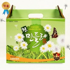 흰민들레즙