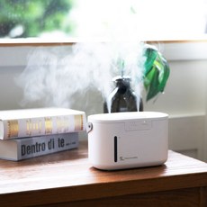 루오딘모이스트가습기