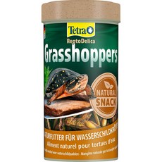 테트라 렙토델리카 그래스호퍼 28g/250ml Grasshoppers, 1개, 28g