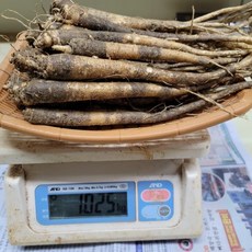 원도오빠 정품 도라지, 1개, 1키로