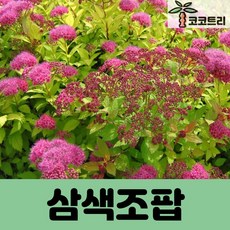 a2a0f382bbd6973491cad83c37c2e743f2b0cfb9fdd00f8dba0f3ab0d3f5.jpg