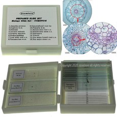 곤충채집현미경