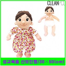 청양토이 BW3E6D45B 출산 초기 청소년 지교육 자료 자녀 임신 임산부 인체모형 육아교육 유치원 유아교육 유아교구 유아 여자생식기구조 엄마 어린이 아들 아동 아기모형 신체모형 신생아 신생아모형 성폭력 성장 산모 산모교실 보건교육 남자아이 교육 강사 소꿉놀이