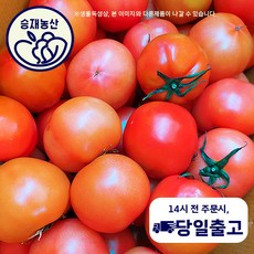 승재농산 국내산 정품 완숙 토마토 5kg 1박스, 1박스(5kg내외), 1개