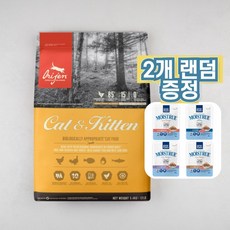 오리젠캣앤키튼5.4