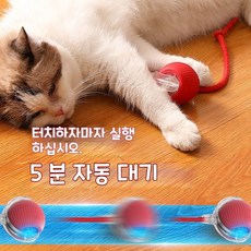 Sorpci 고양이 자동 장난감 공 LED 스마트 움직이는 캣볼, 1개, 그린