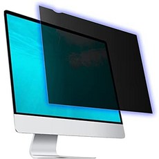 모니터편광