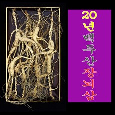 중국산삼