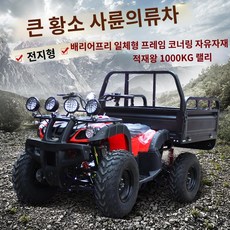 사륜바이크 TOP01
