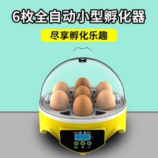 병아리 부화기 전자동 계란 부화기 메추리 병아리 키우기 인큐베이터, 전자동소형인큐베이터6개