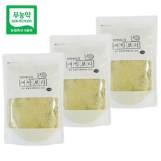 국내산 무농약 유기농새싹보리 분말 300g 3개, 새싹보리_수경 300g x 3개