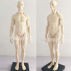 단기대상부부치료