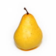 서양배모형