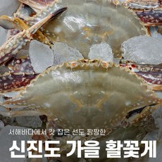 톱밥게