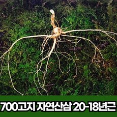 20년산삼가격