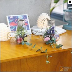 livepro2유니크함을더하는씨앤에이치