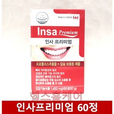 인사동원데이클래스