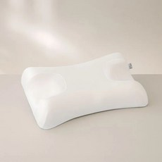 슬립앤글로우 옴니아 안티 에이징 필로우 베개