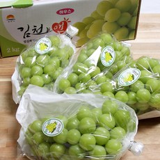 김천앤 샤인머스켓 4kg 4-5수 과일선물 명절 선물세트, 2kg, 4수