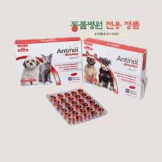 바이오라인/ 안티놀 래피드 천연 관절영양제 30정/60정/90정 [antinol rapid]/동물병원정품, 30캡슐