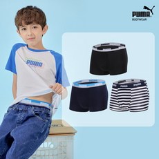 푸마에어드라이