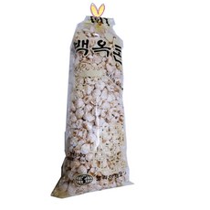 우리 백옥콘, 1개, 210g