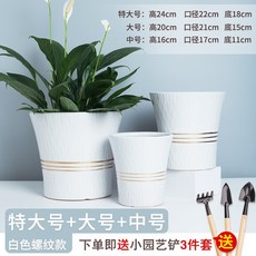 79344de90430b6062eb8535ef92ad4a1df037d51a7f919f6fc4349706ea1.jpg