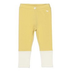 블루독컬러블록