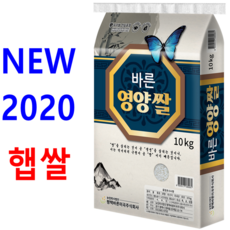 1ecfea293fecec277643c2dfa34ddb1f72bc9ea4f93d99a3034f85cbc1e8.png