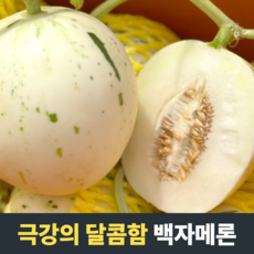 천안수신메론