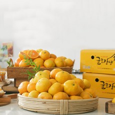 제주농협귤로장생