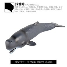 범고래백상아리