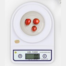 kb1000g