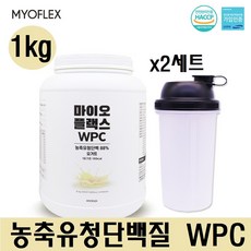 프로틴파워츄어블정