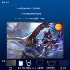 17인치휴대용모니터