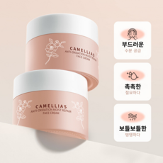 동백에센스잡티제거 수분진정크림 까멜리아 주름개선 크림 달팽이크림 검버섯크림 색소침착 기미없애는법