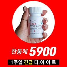 가르시니아 + 녹차추출물 다이어트보조제 800mgx28정 1주일 단기 다이어트보조제, 28정