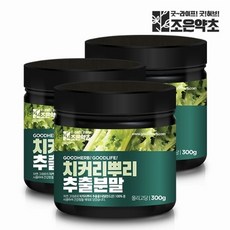 조은약초 치커리 뿌리 추출물 분말 가루 300g x 3, 3개