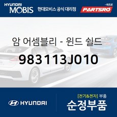 베라크루즈로어암