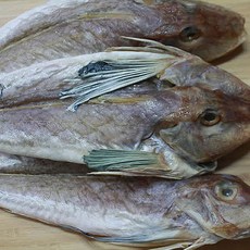국내산 반건조 성대(달갱이) 1팩 600g내외 3-6마리/반건조 60%