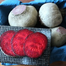 김경보비트