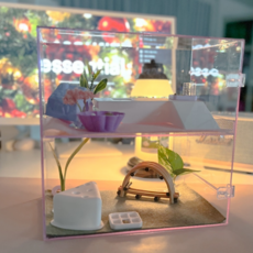 애완 달팽이 사육장 아크릴 집 케이스, 1개, A타입