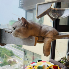 헤라우스점핑 고양이 일광욕 창문 캣타워 투명 해먹 캣워크 캣워커 캣폴, 창문 해먹, 1개