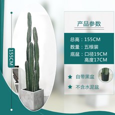 ai선인장