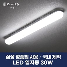 일자전등