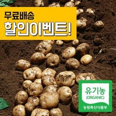 //상품명