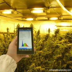 짜릿짜릿전자회로diy