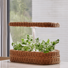 오늘식물 Air 식물재배기 라탄 캡슐 패키지 식물등 수경재배기 가정용 스마트팜, 1개