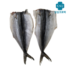 삼치 냉동 손질 필렛 생선 국산삼치 대용량 7kg 업소용, 동해삼치 25미 전후 중(무염처리), 1개